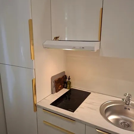 Pikk 24 - Center Lägenhet Pärnu