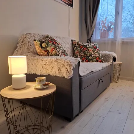 Pikk 24 - Kesklinn - Center Apartment